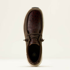 Ariat Buckeye Waterproof Shoe
